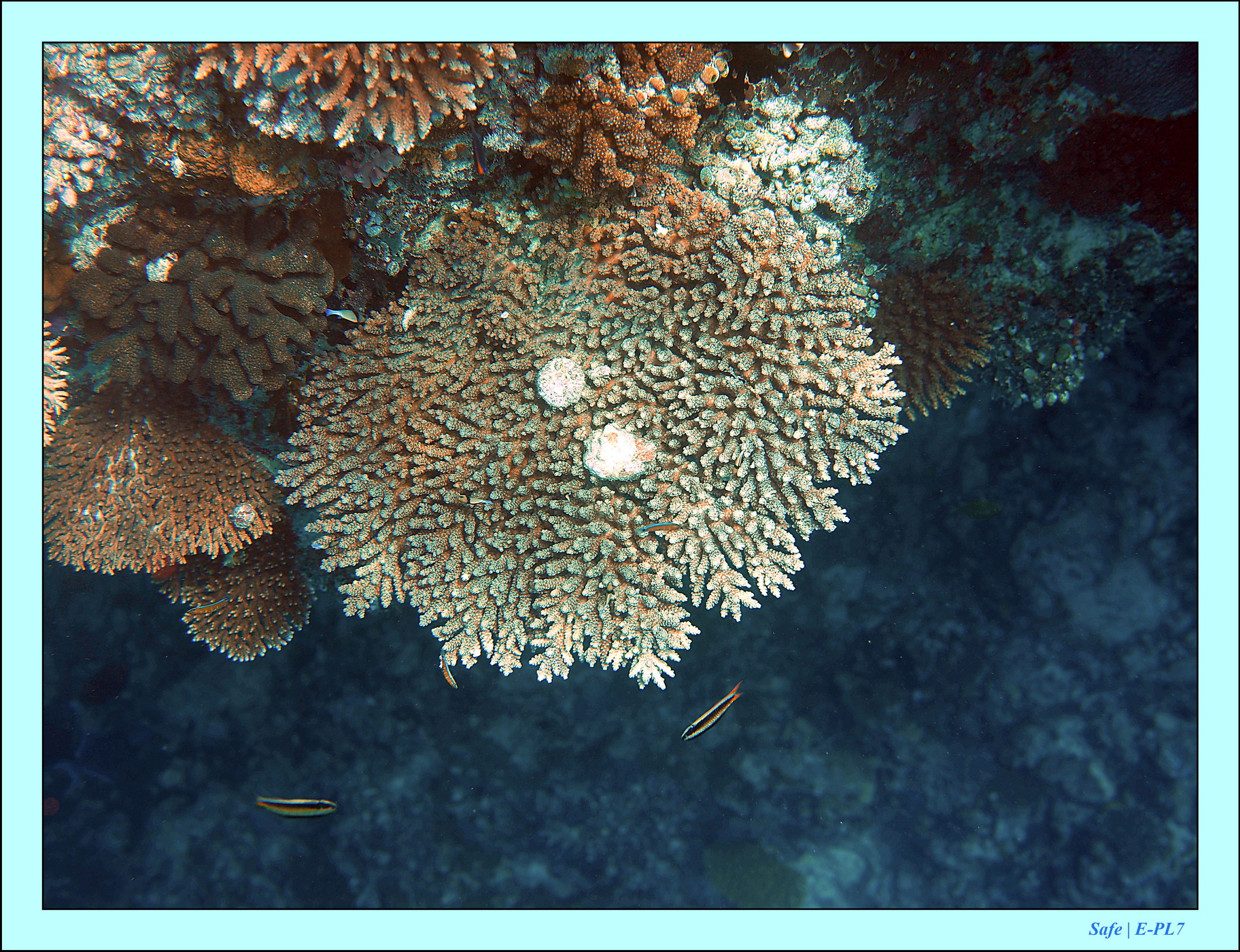 2023 - 07 - Sandies Bathala - 223